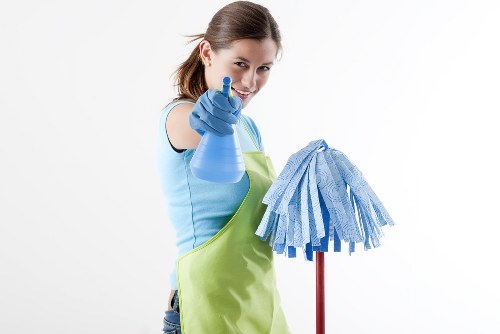 Professional pet stain odour removal in Finchley on carpet