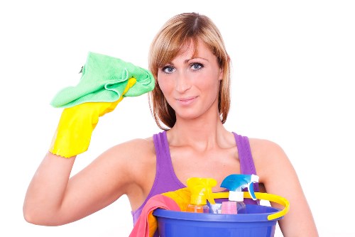 Professional carpet cleaning team preparing service equipment