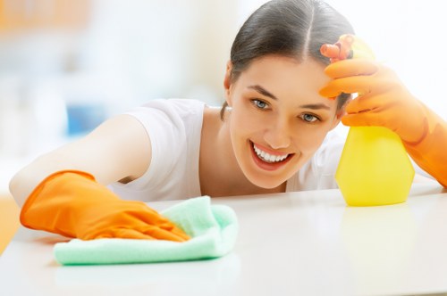 Enzymatic cleaning for pet odour removal in Finchley
