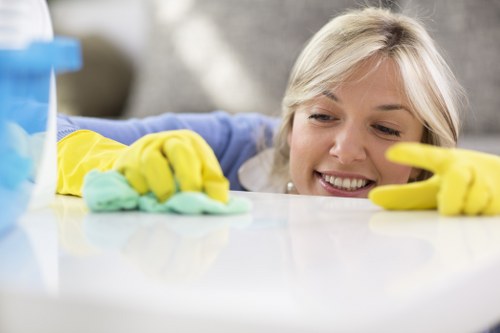 Deep carpet cleaning equipment in a Finchley property