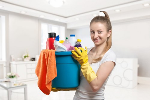 Modern carpet cleaning equipment used in a Finchley property
