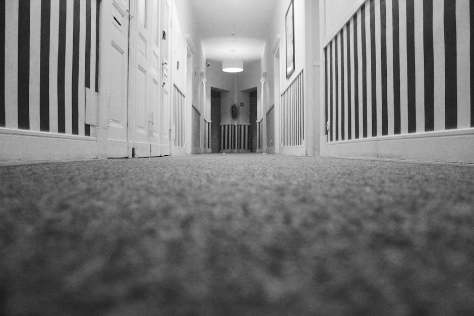 A professional cleaner from Finchley Carpet Cleaners is performing deep surface cleaning on a beige carpet in a bright, minimalistic living room. The cleaner is wearing a full white protective suit, i